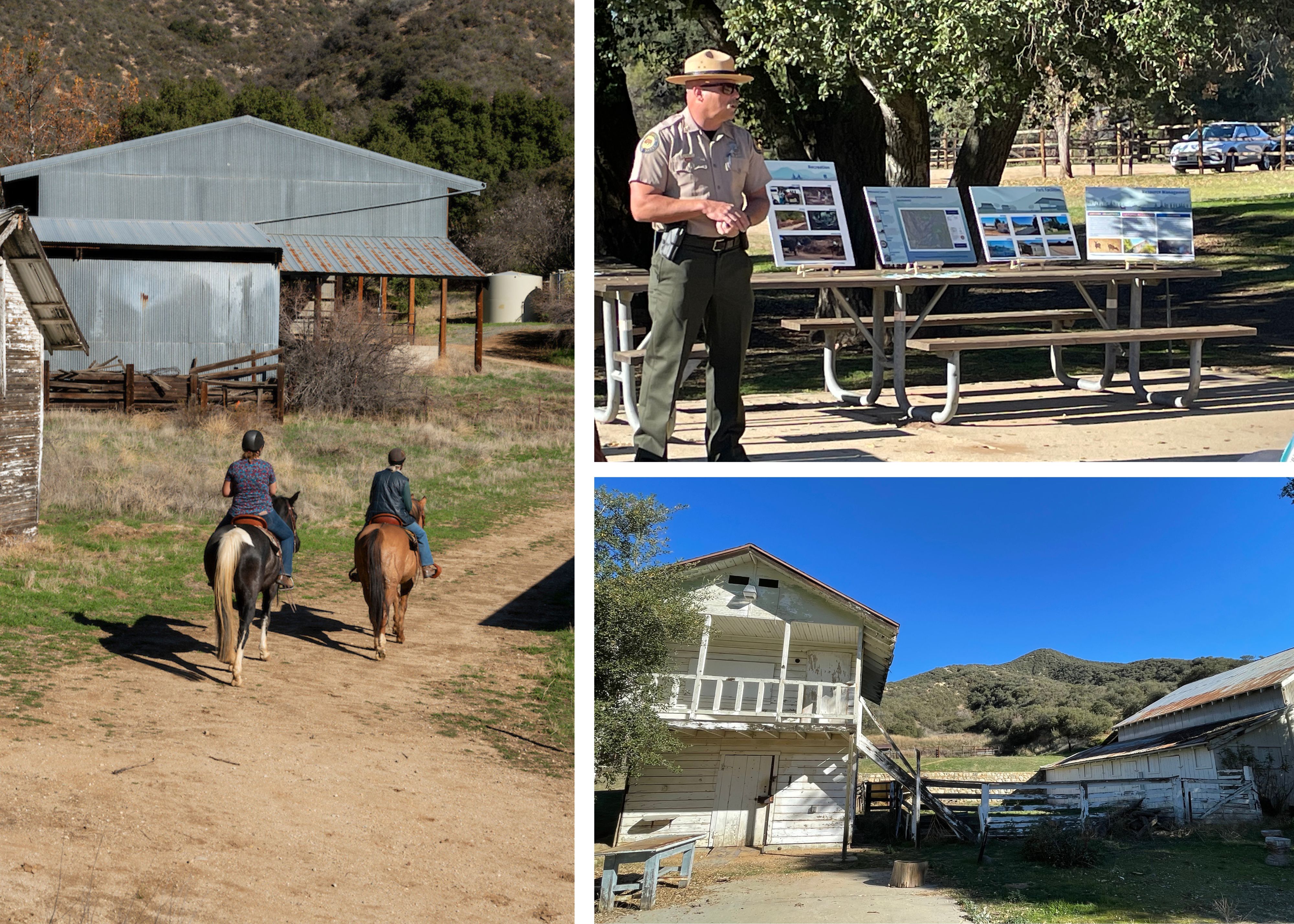 Wildwood Canyon State Park Collage Horses Buildings Exhibits